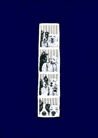Image at position 6