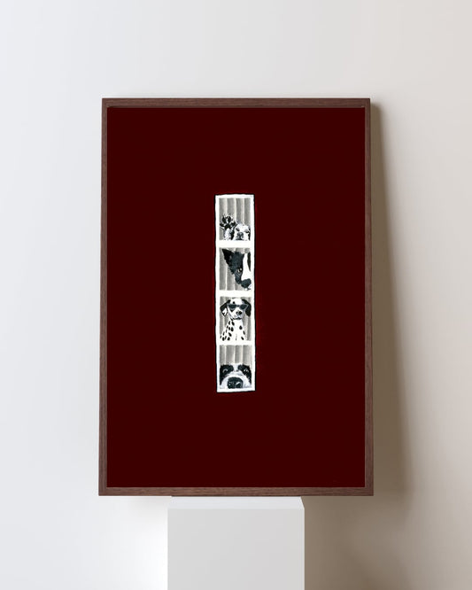 Image at position 1
