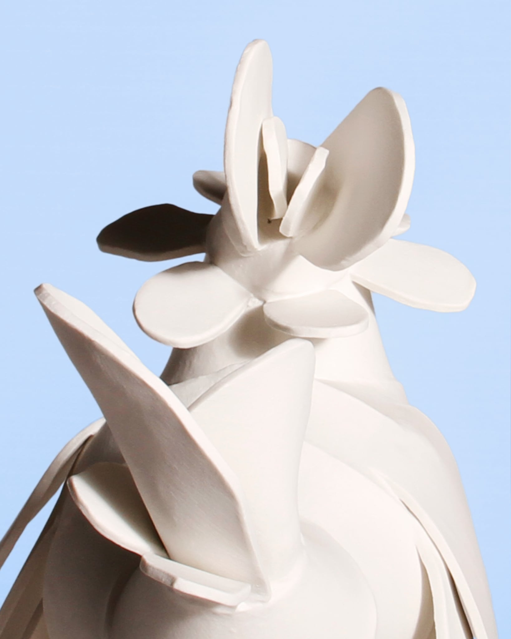 Image at position 5