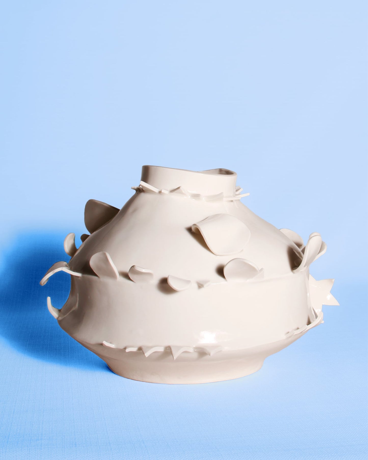 Image at position 5