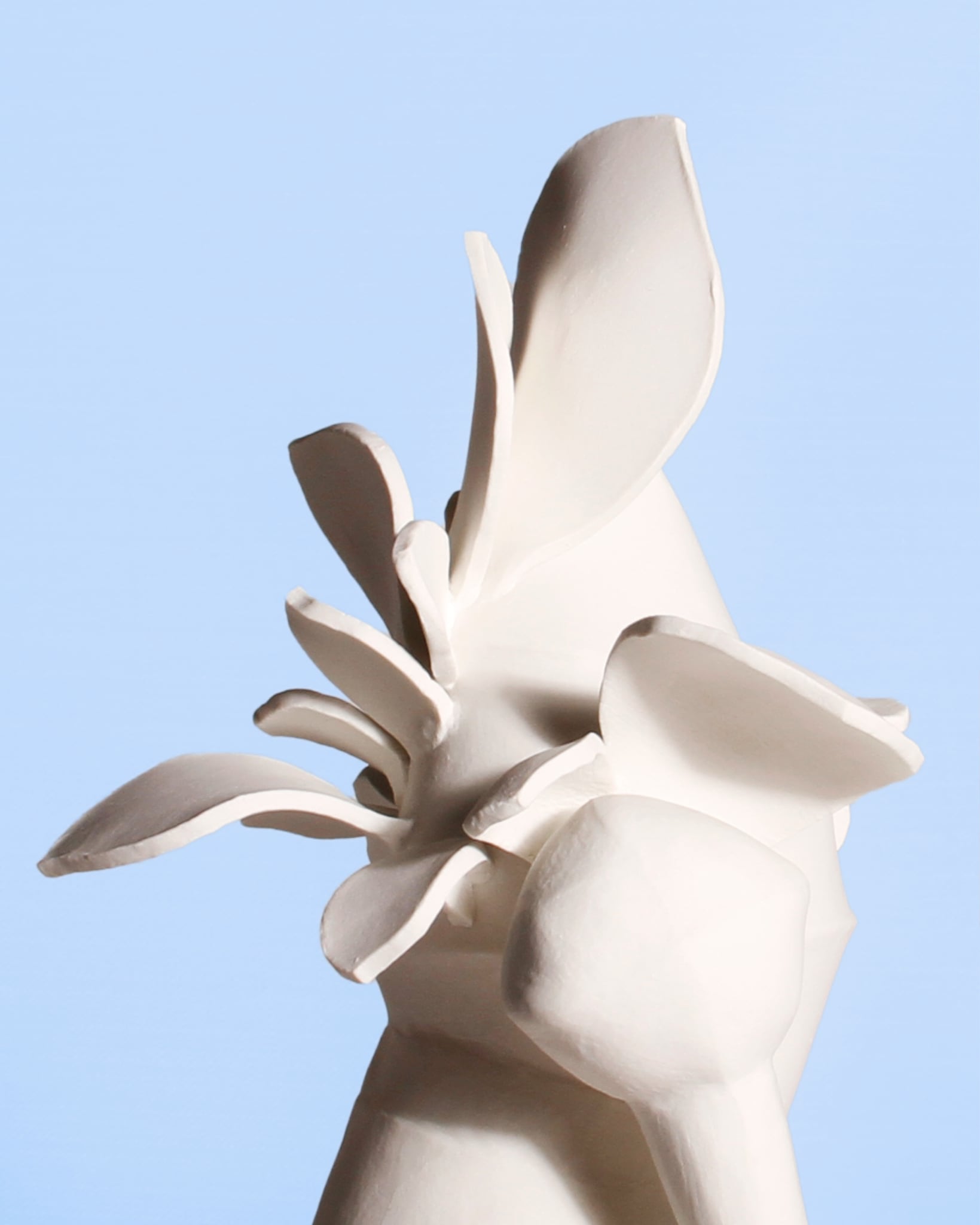 Image at position 2