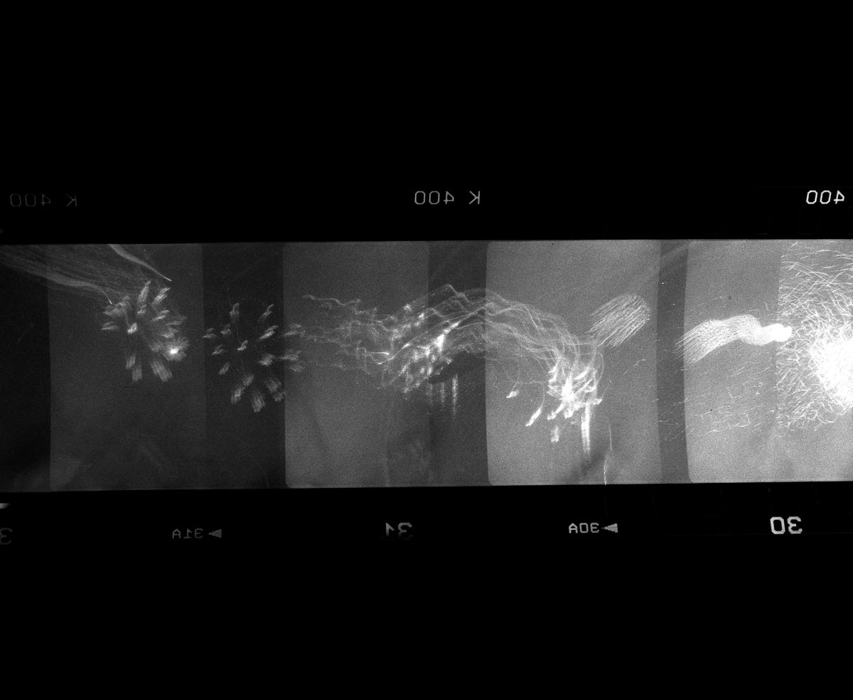 Image at position 2