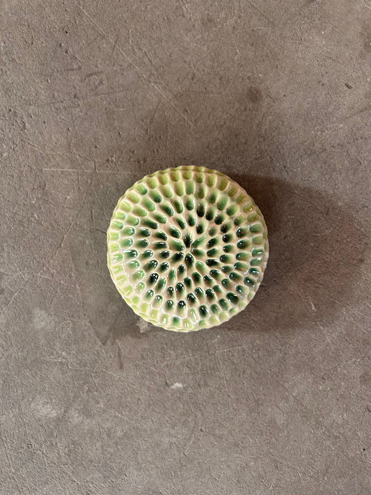 Image at position 1