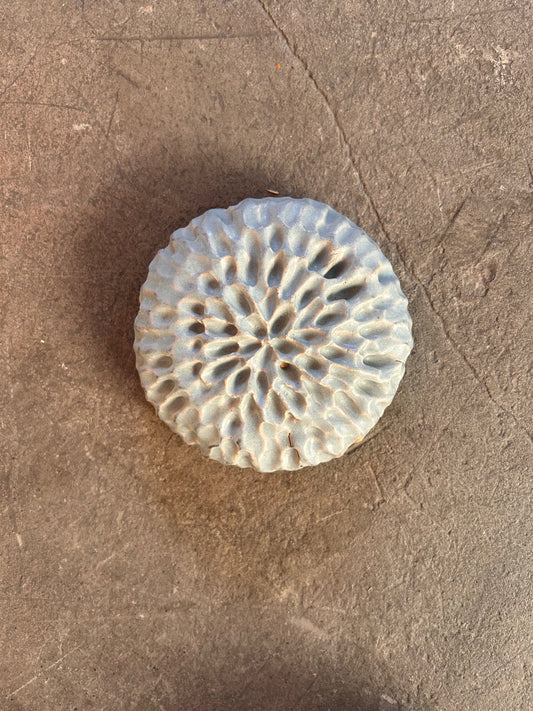 Image at position 1
