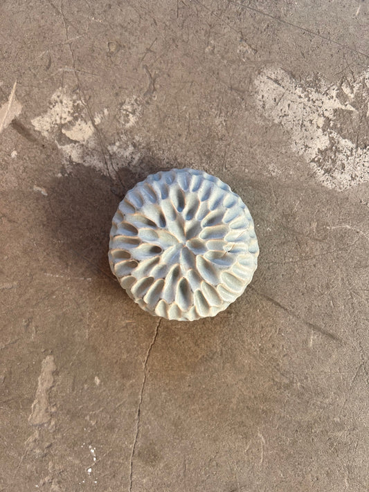 Image at position 1
