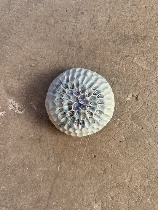 Image at position 1