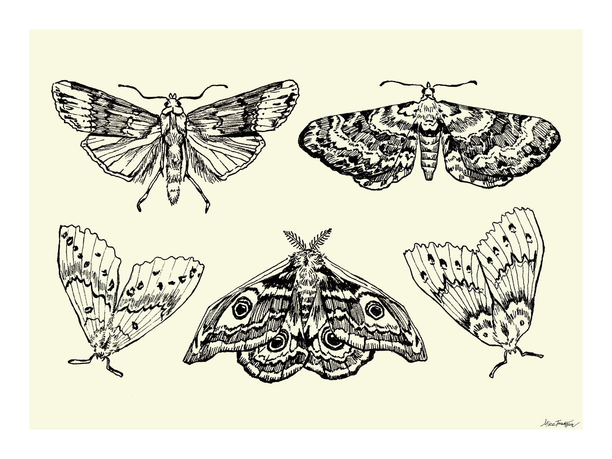 Image at position 3
