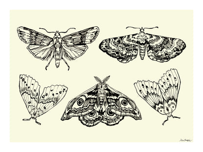 Image at position 3