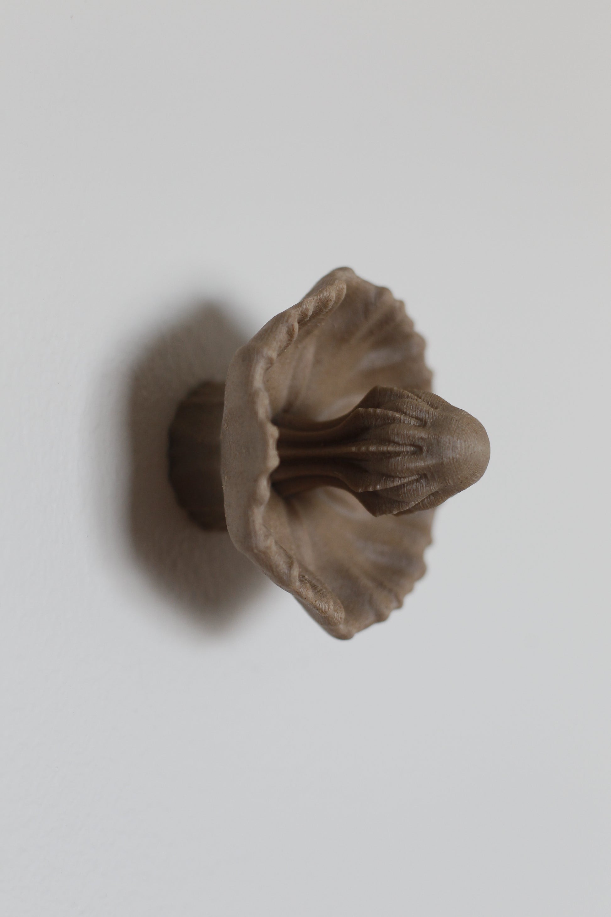 Image at position 1