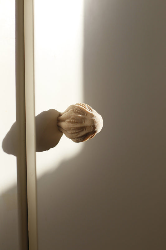 Image at position 1