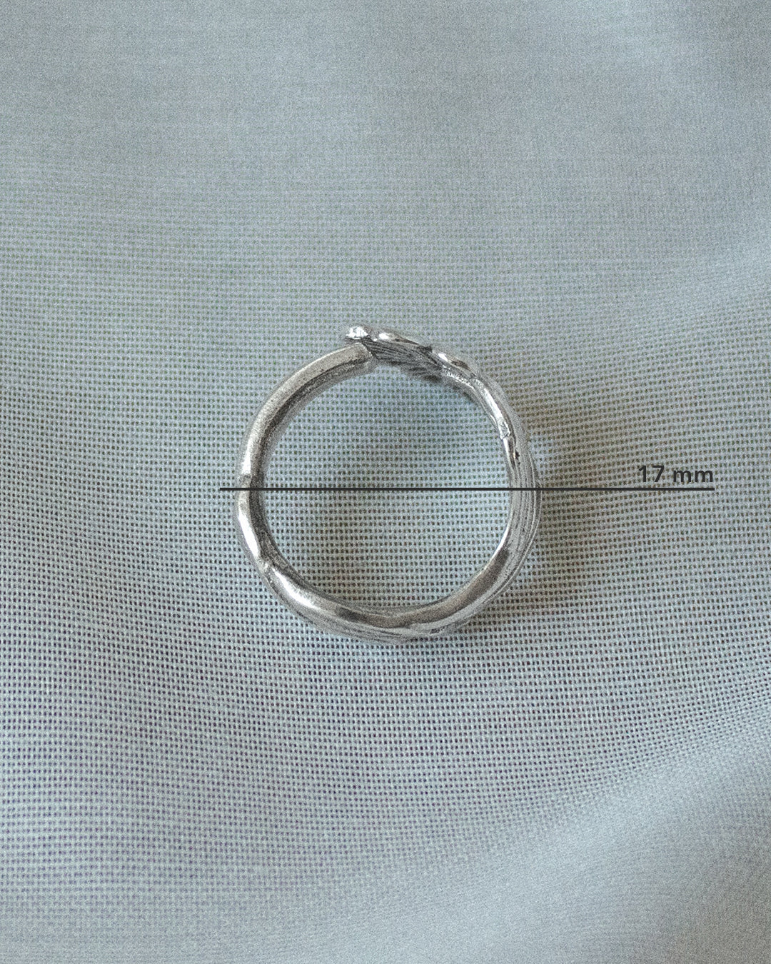 Image at position 5