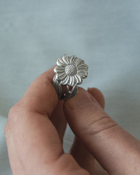 Image at position 4