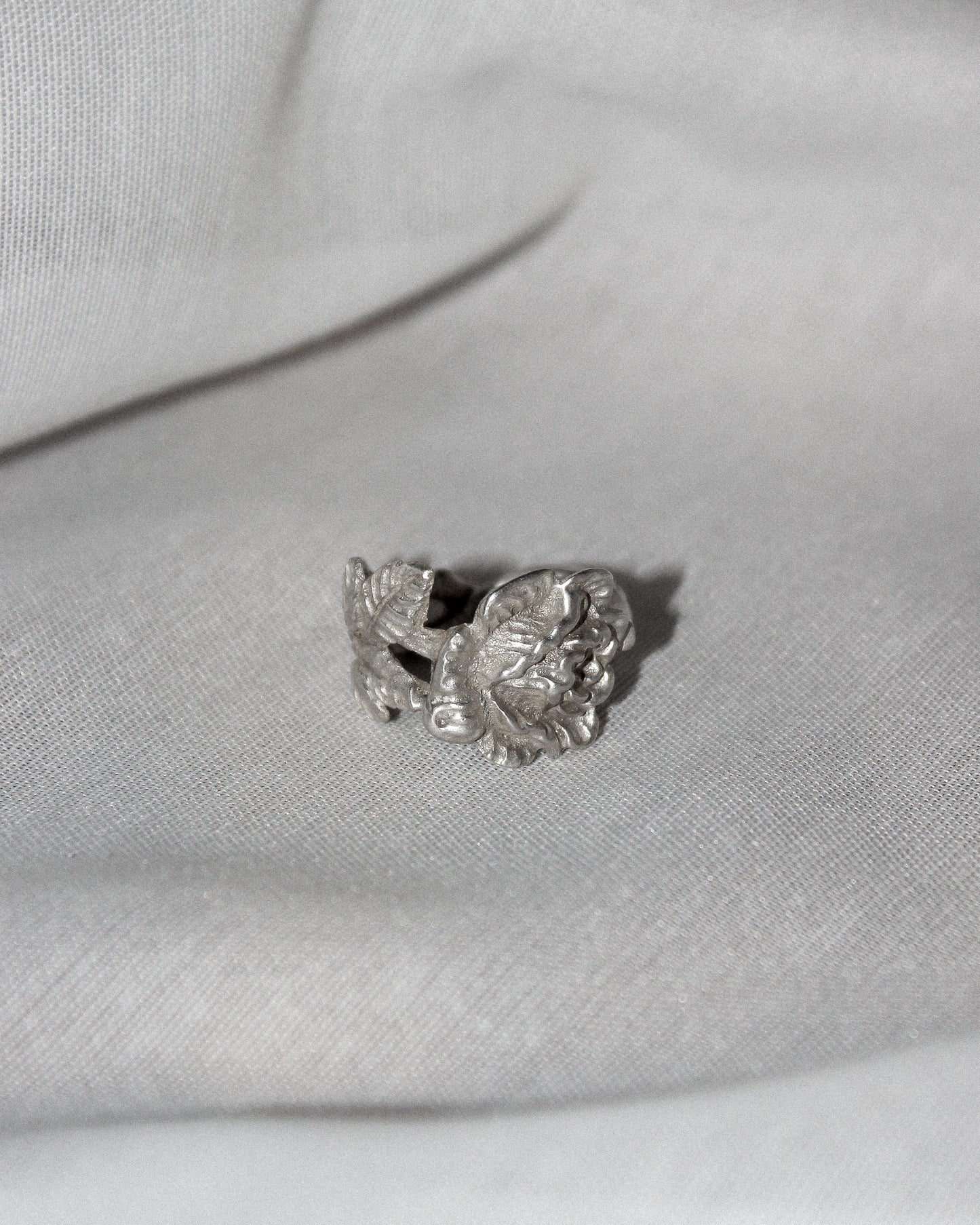 Image at position 2
