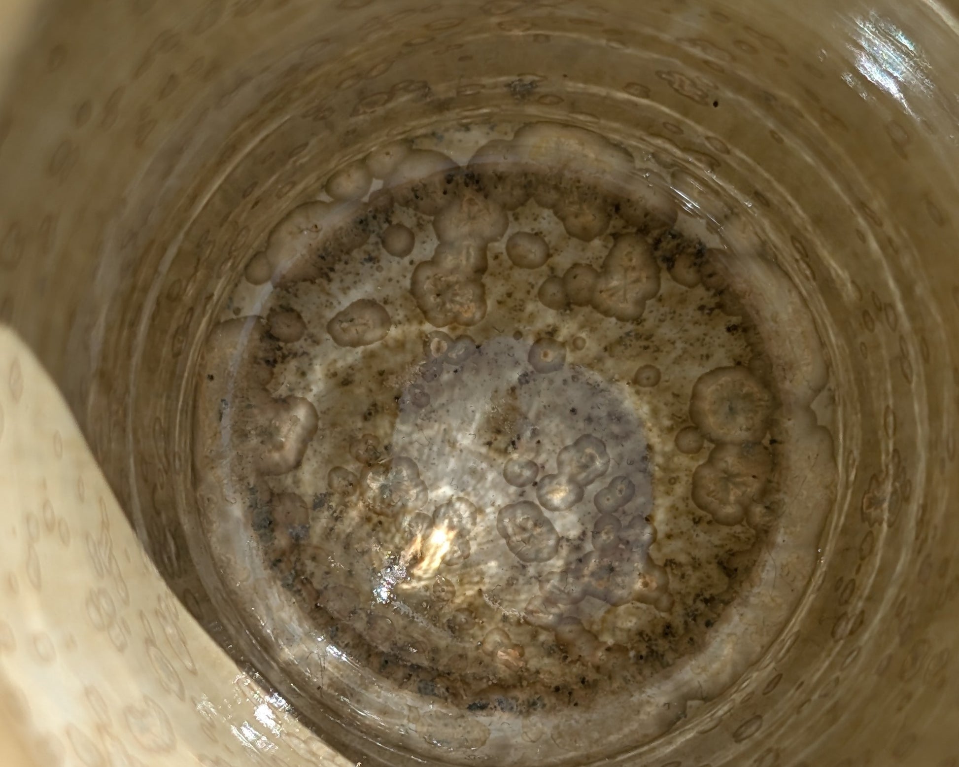 Image at position 4