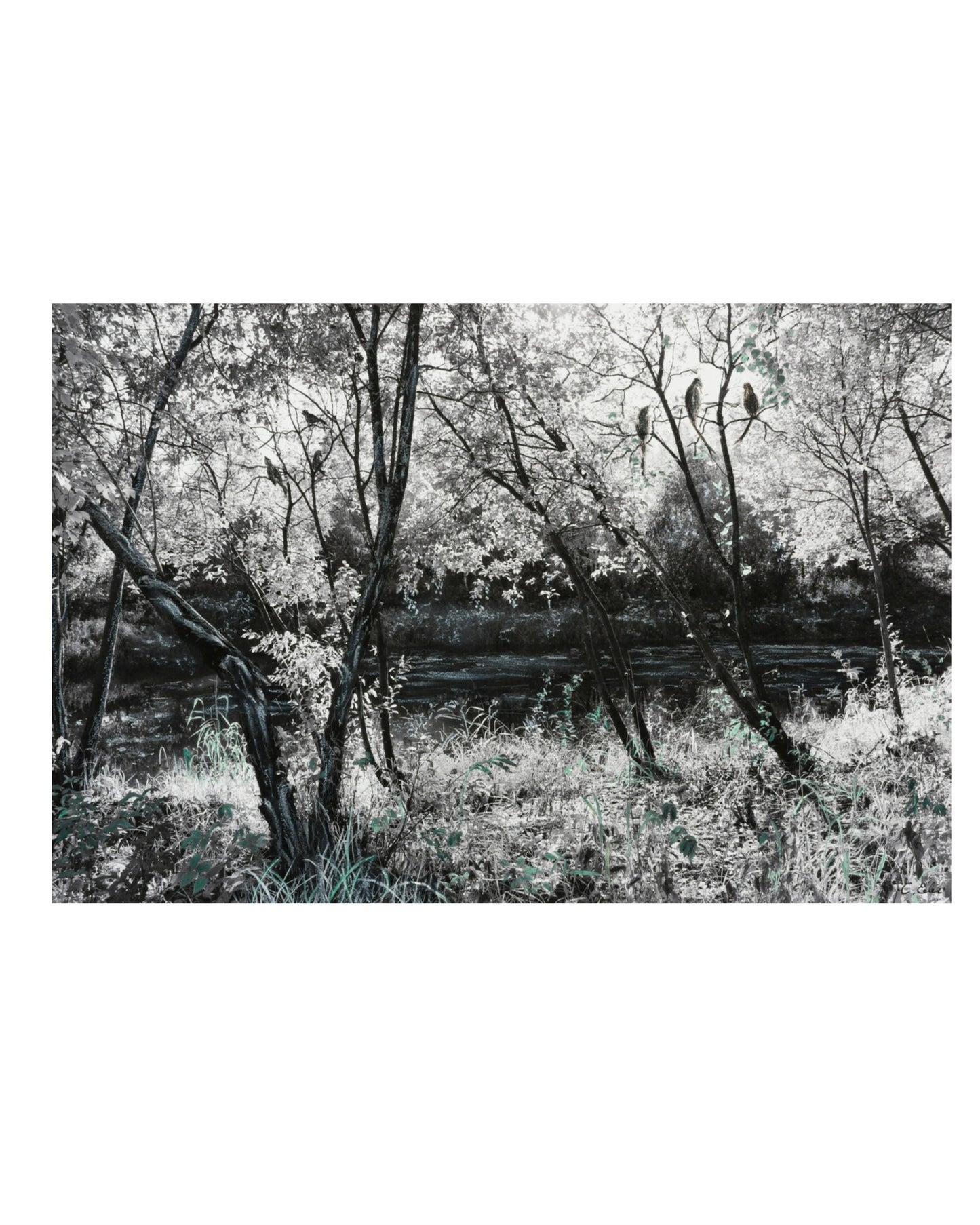 Image at position 1