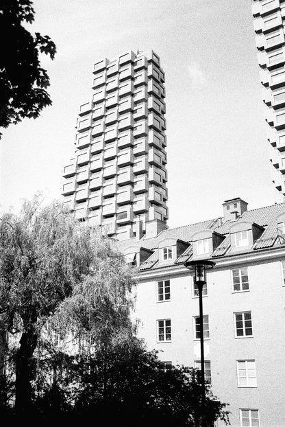 Image at position 2