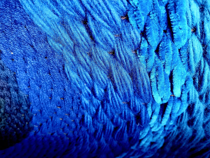 Image at position 3