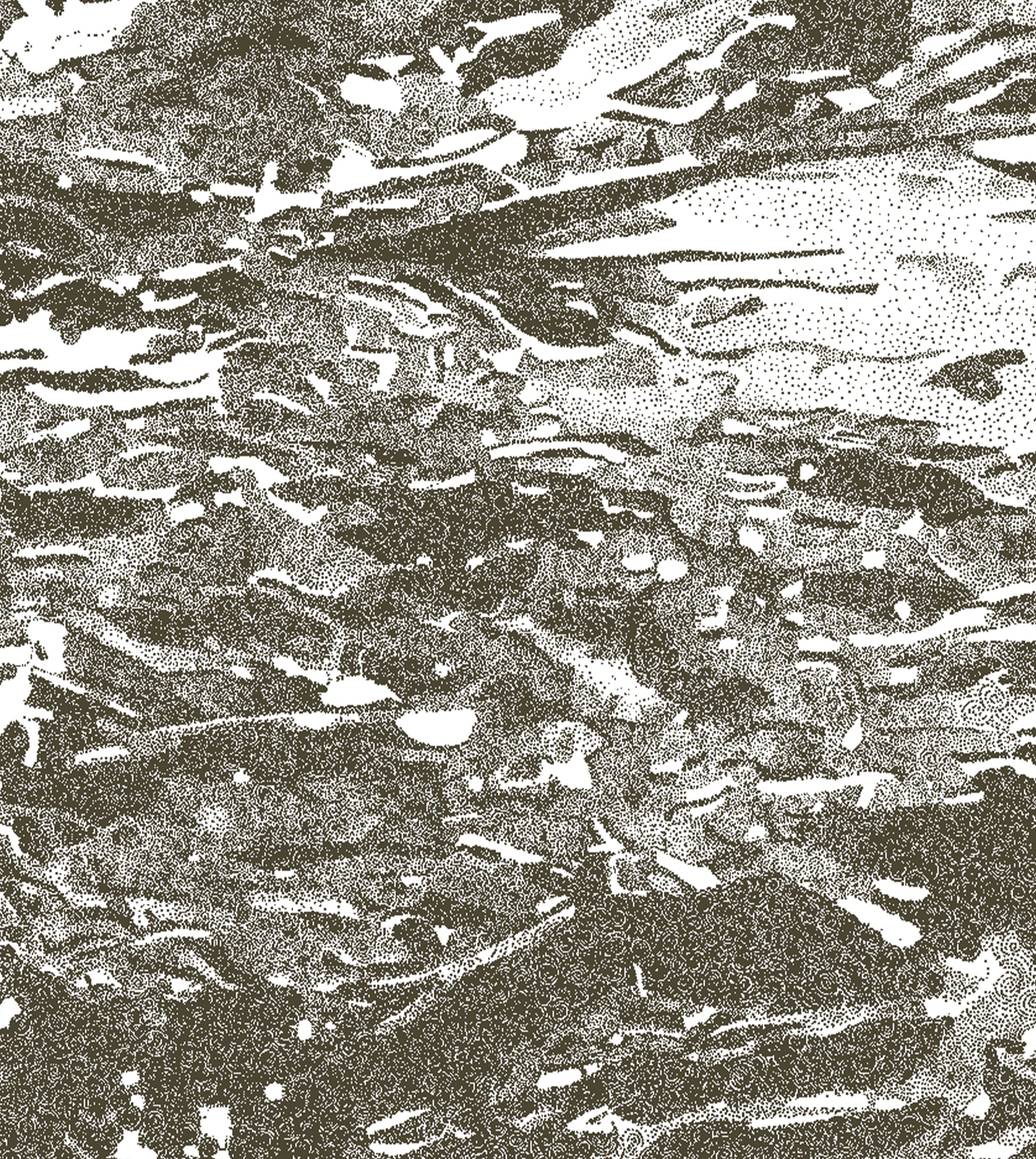 Image at position 4
