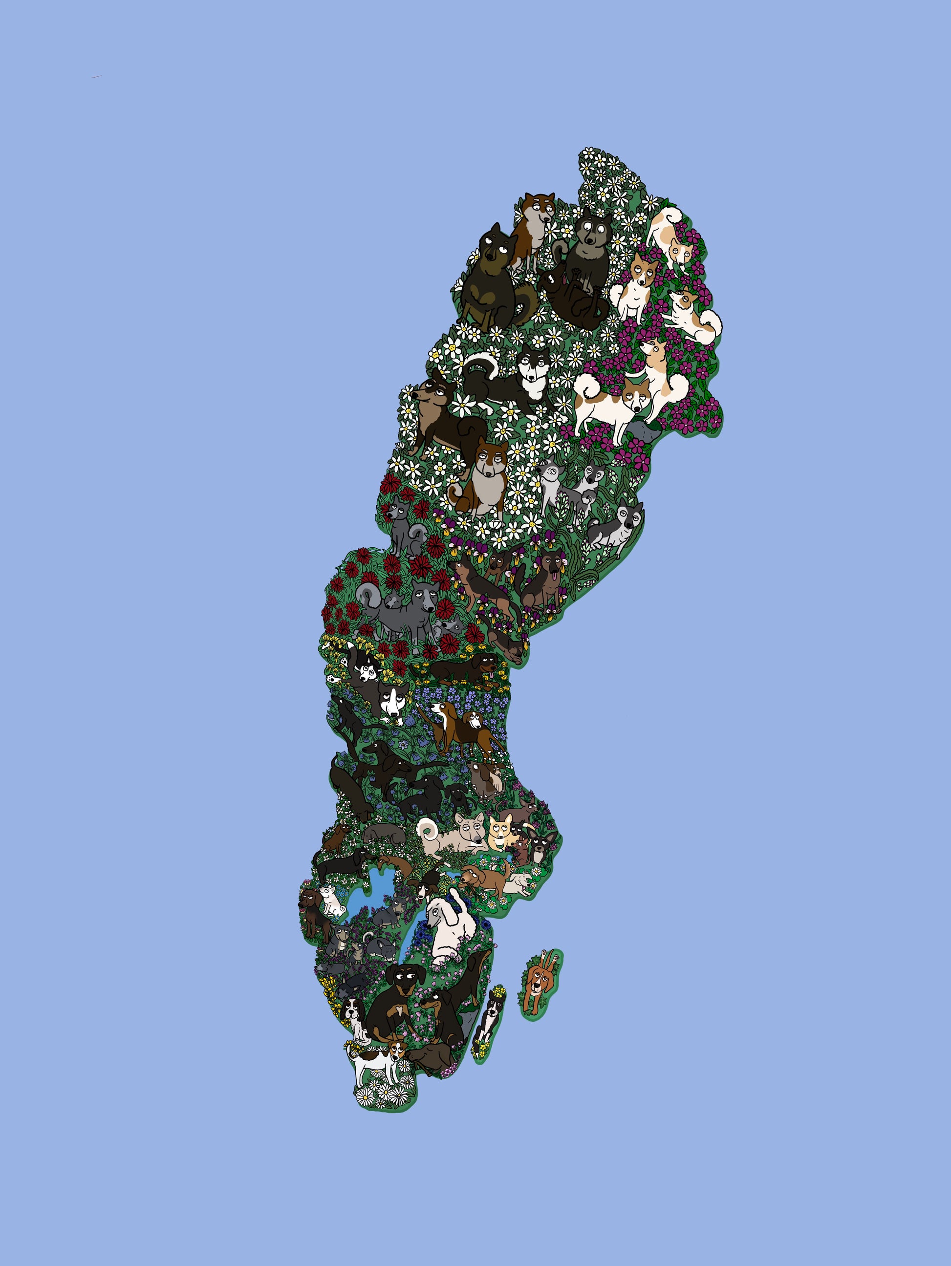 Image at position 2