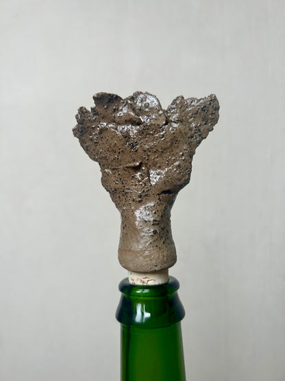 Image at position 1