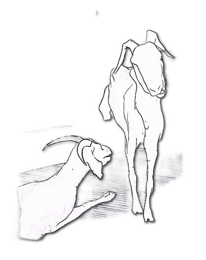 Image at position 3
