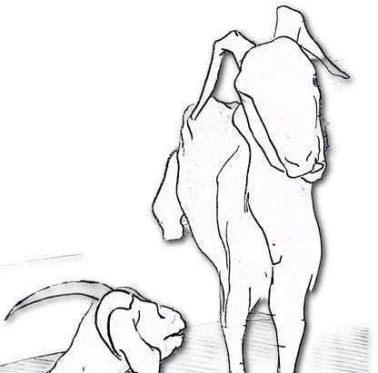 Image at position 2