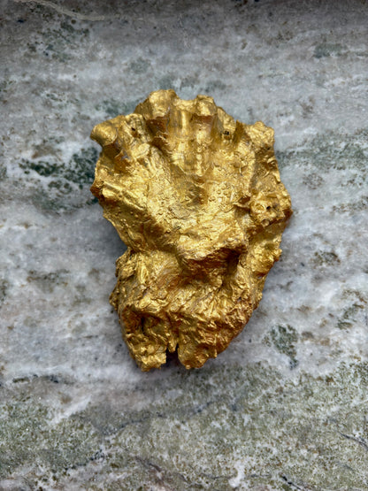 Image at position 3