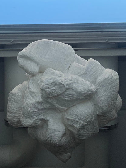 Image at position 2