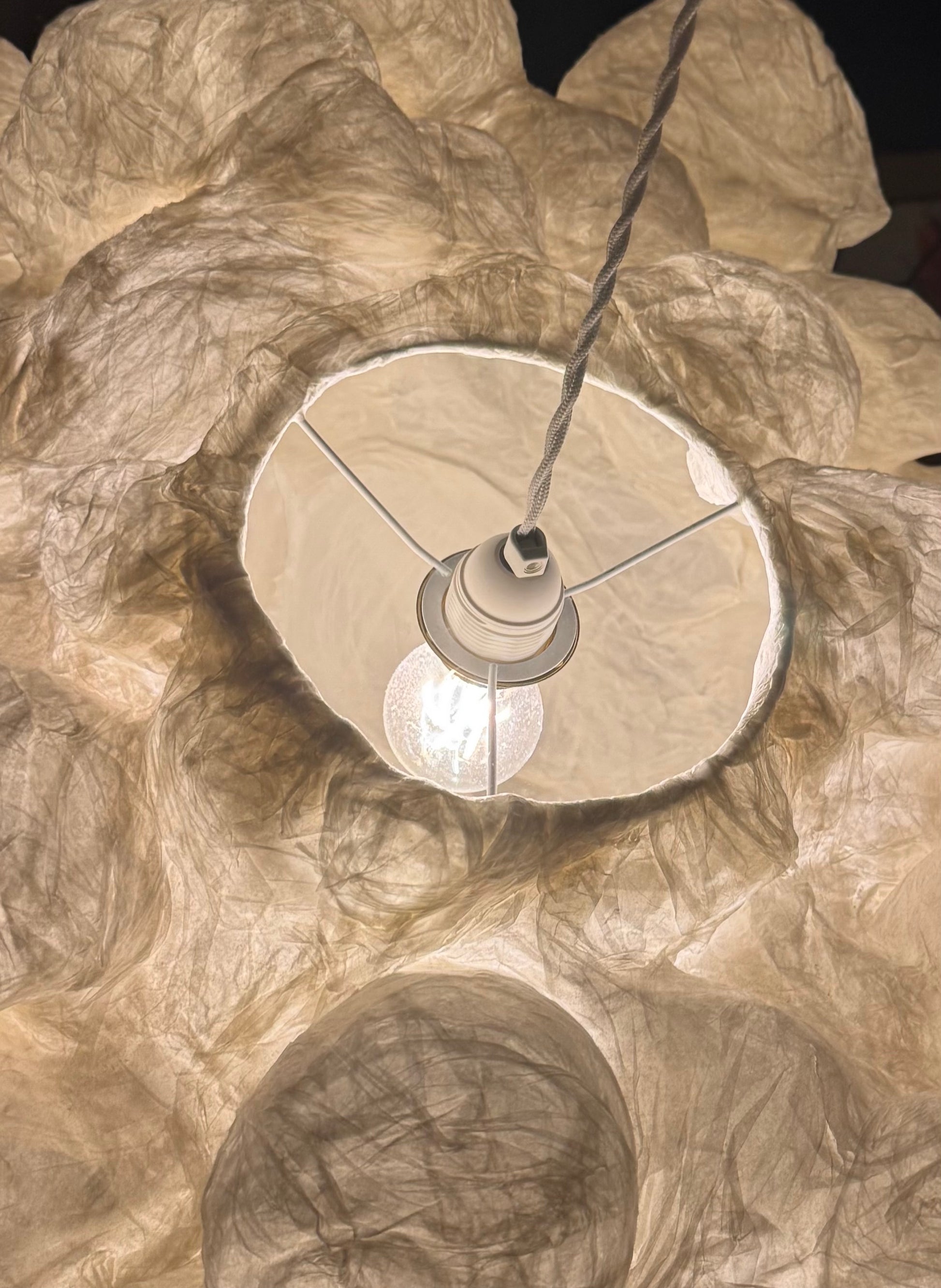 Image at position 5