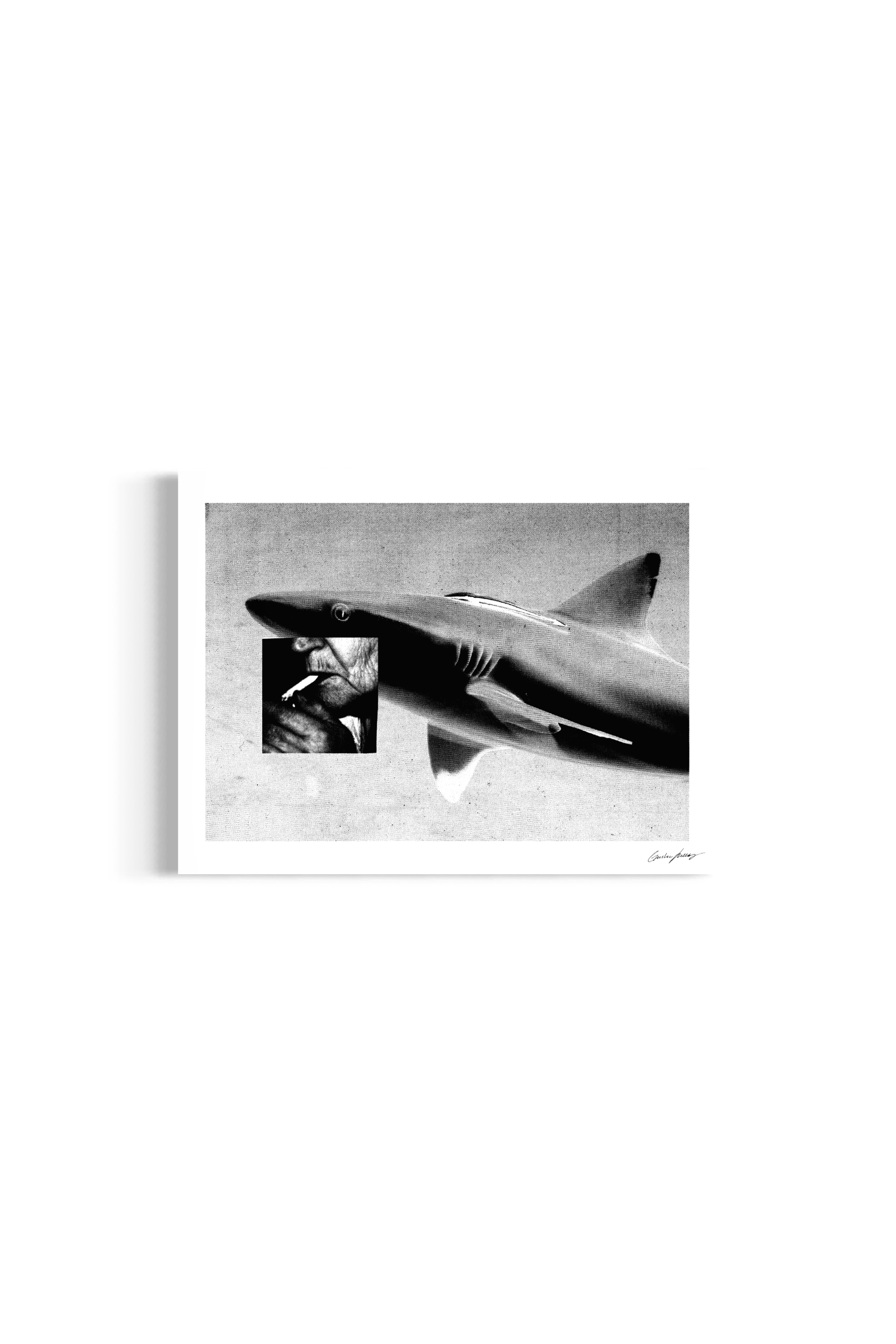 Image at position 2