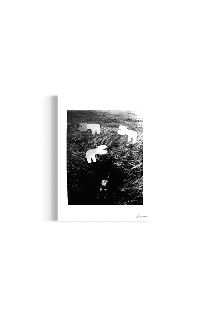 Image at position 2