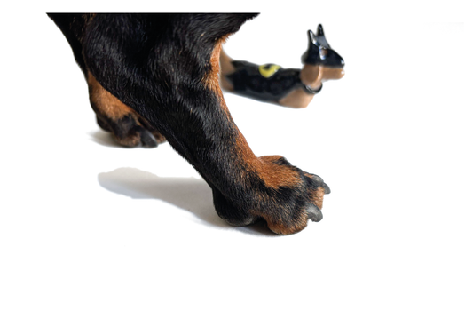 Image at position 1