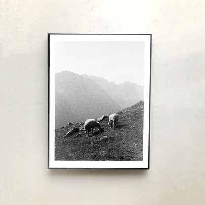 Image at position 2