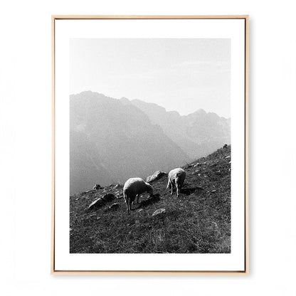 Image at position 3