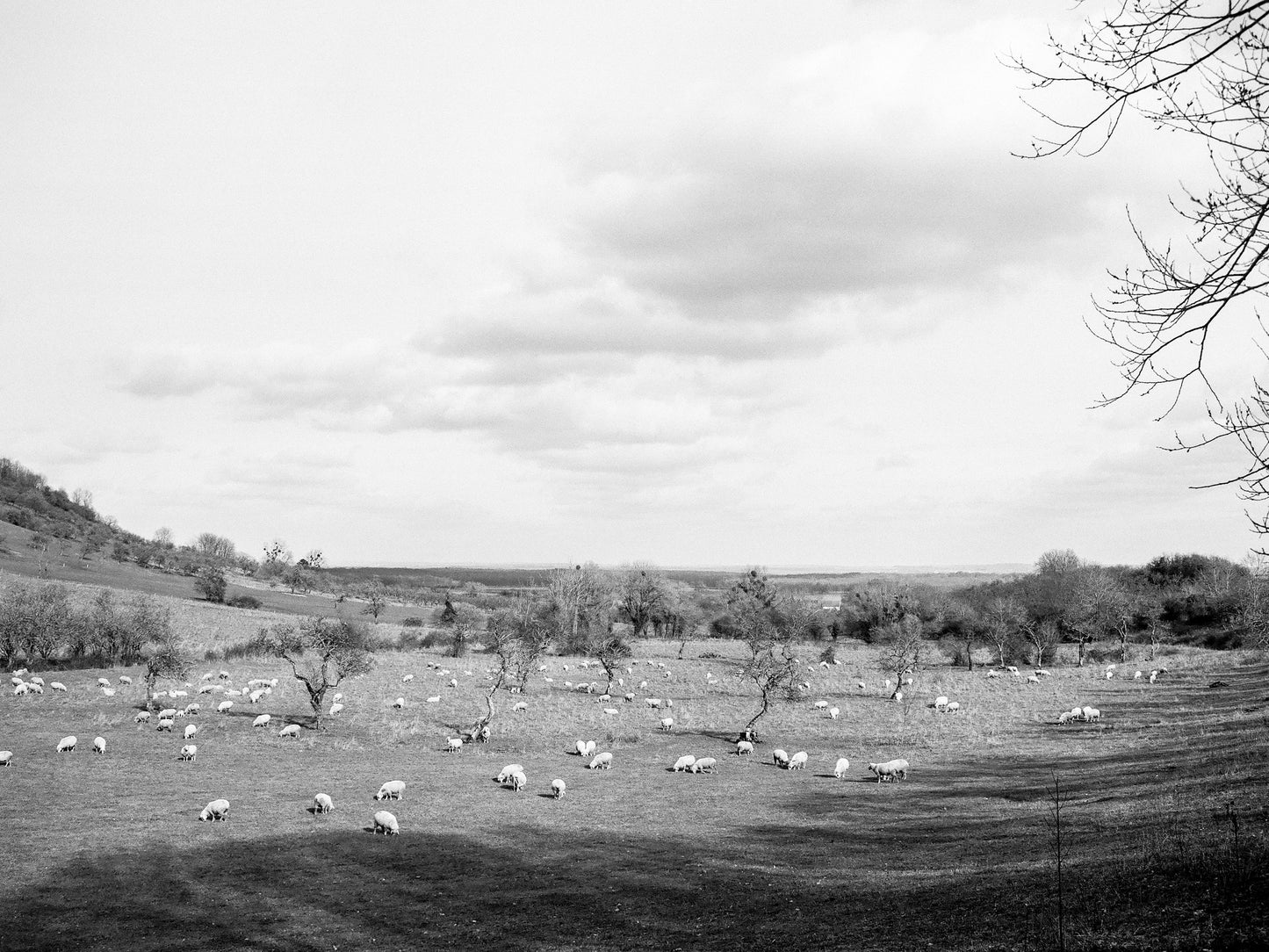 Image at position 2