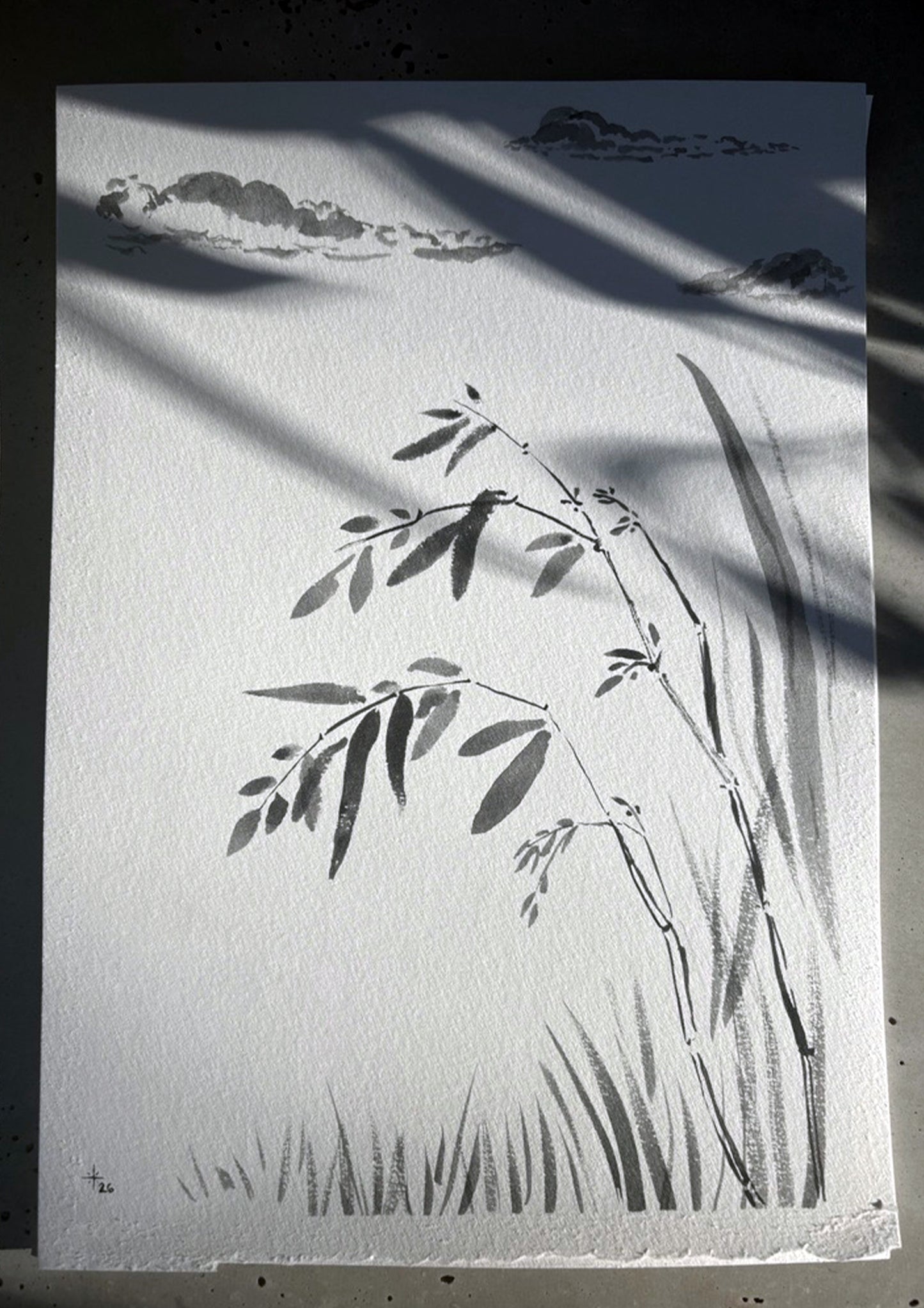 Image at position 4