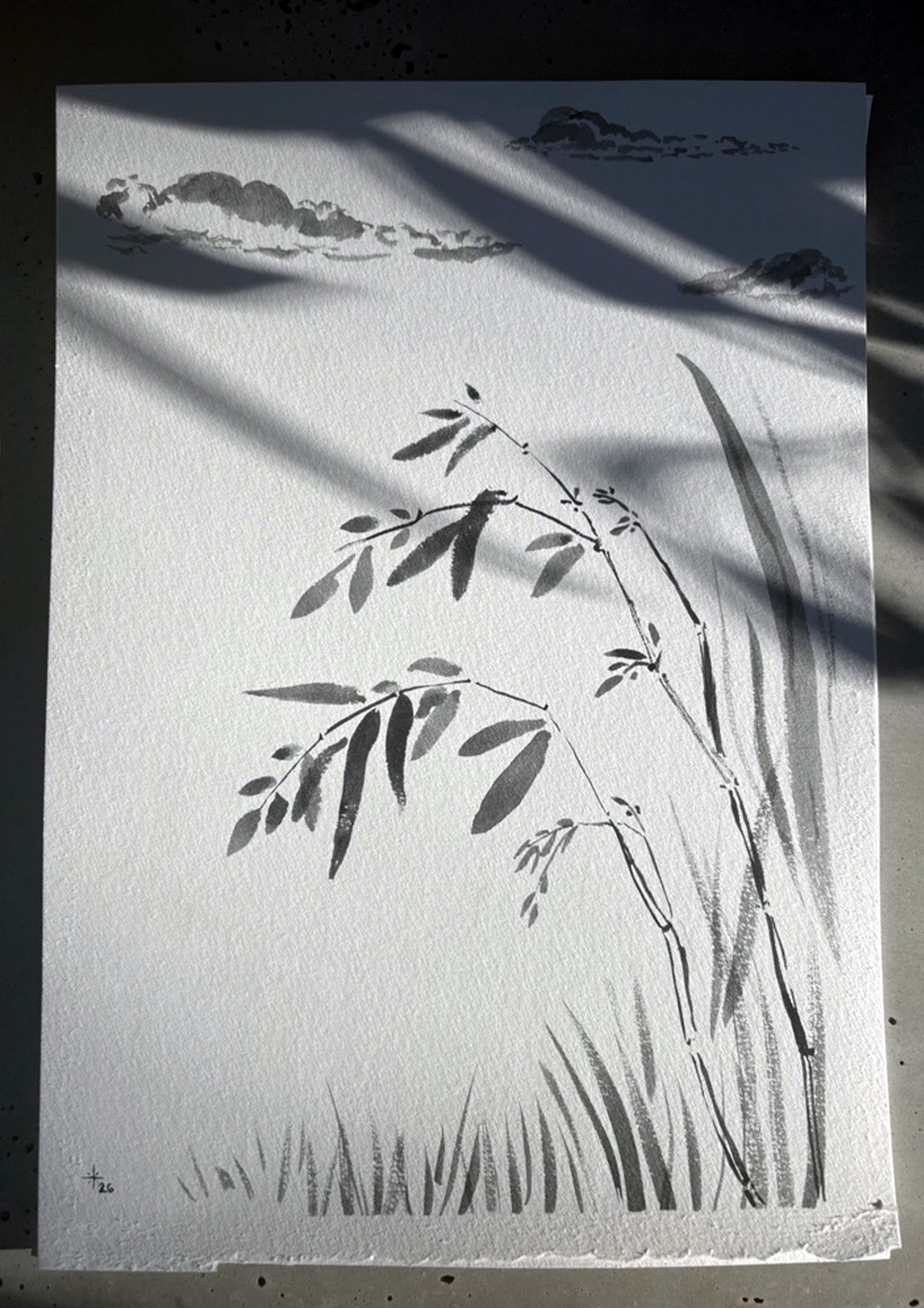 Image at position 4