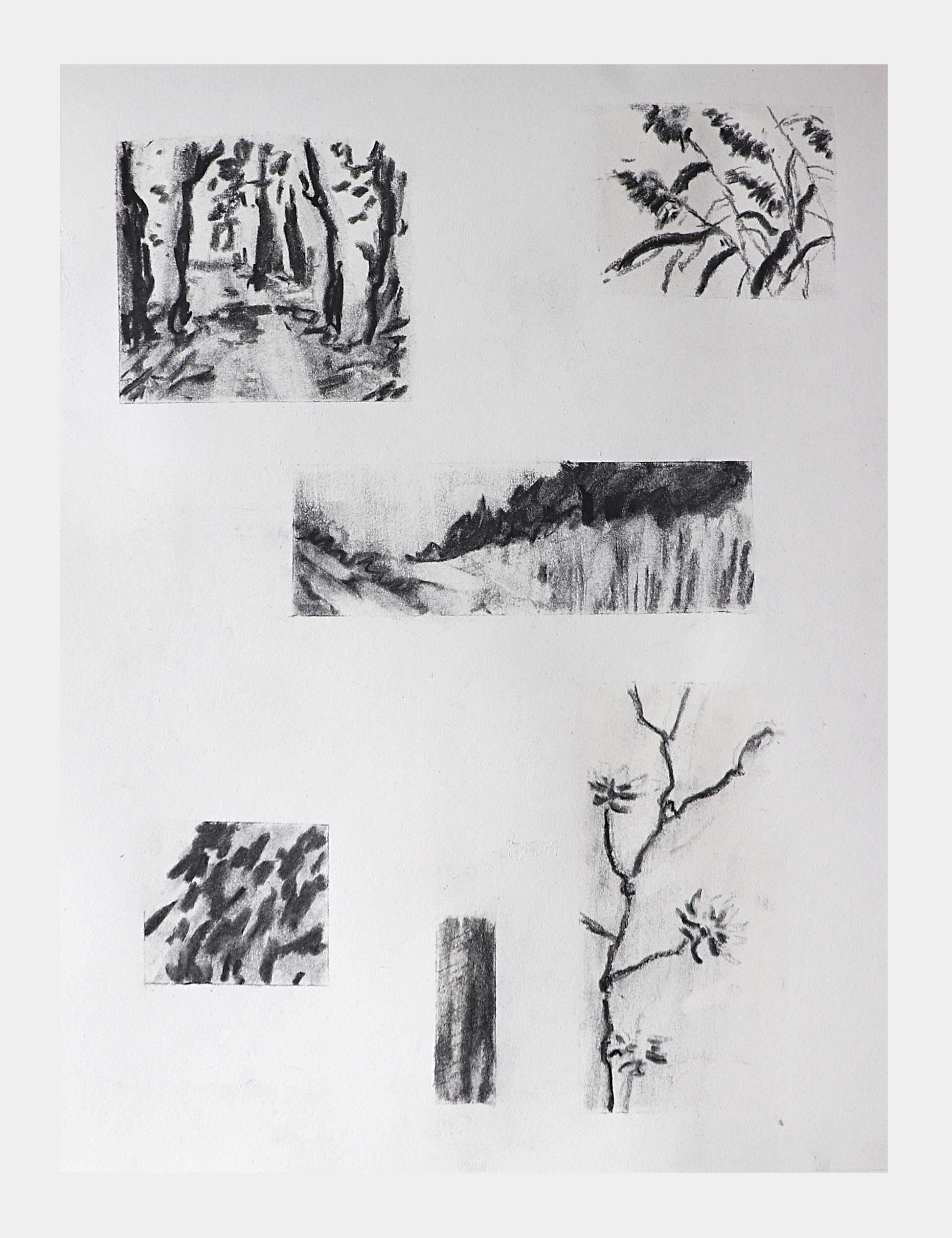Image at position 1