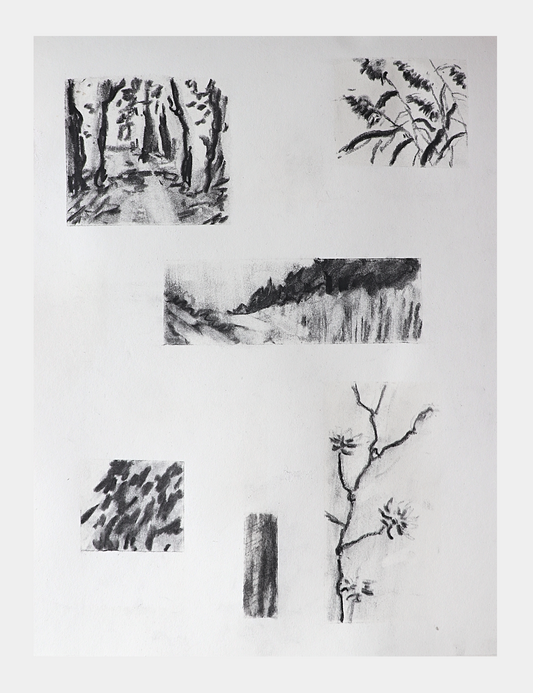 Image at position 1