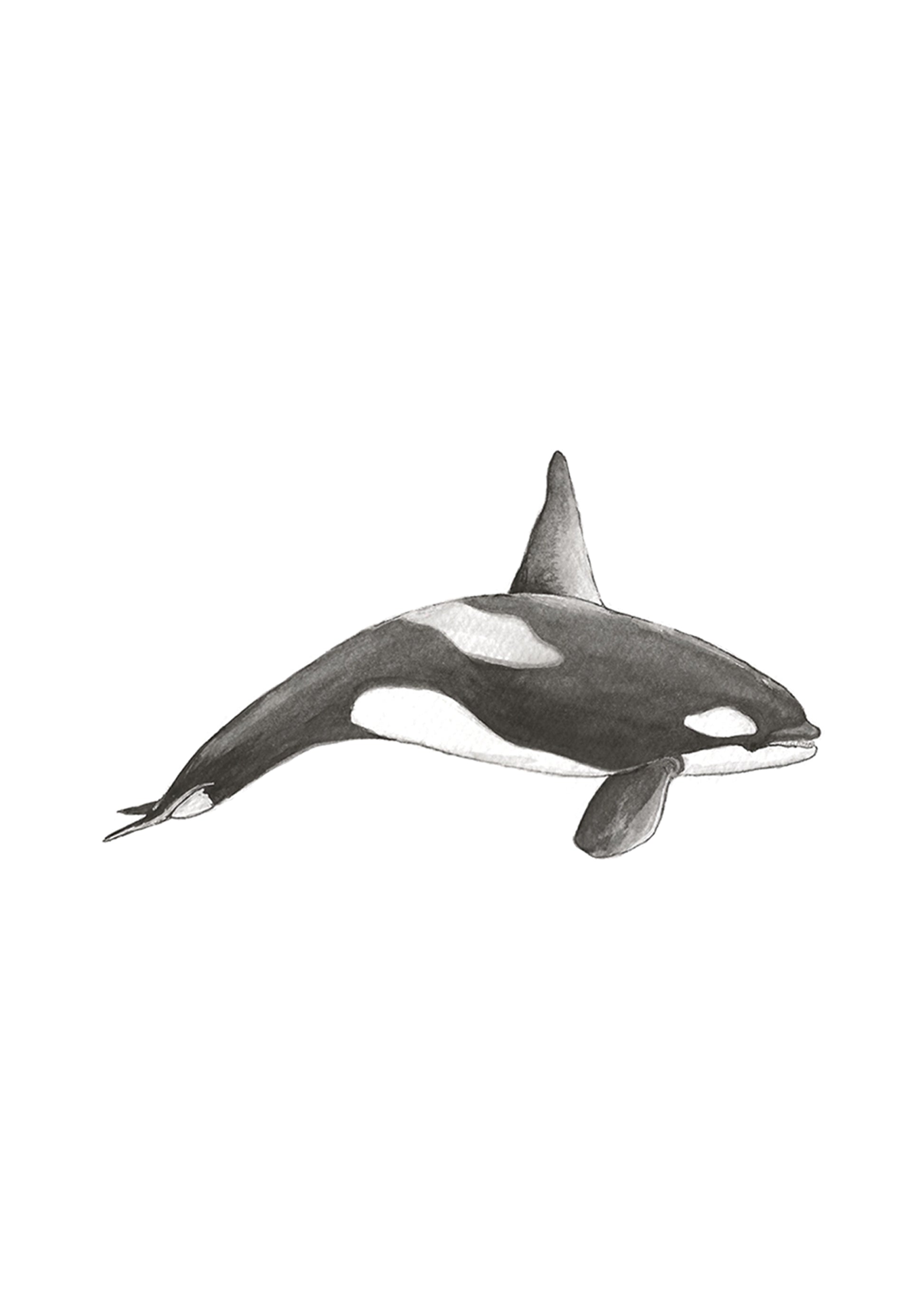 Image at position 2