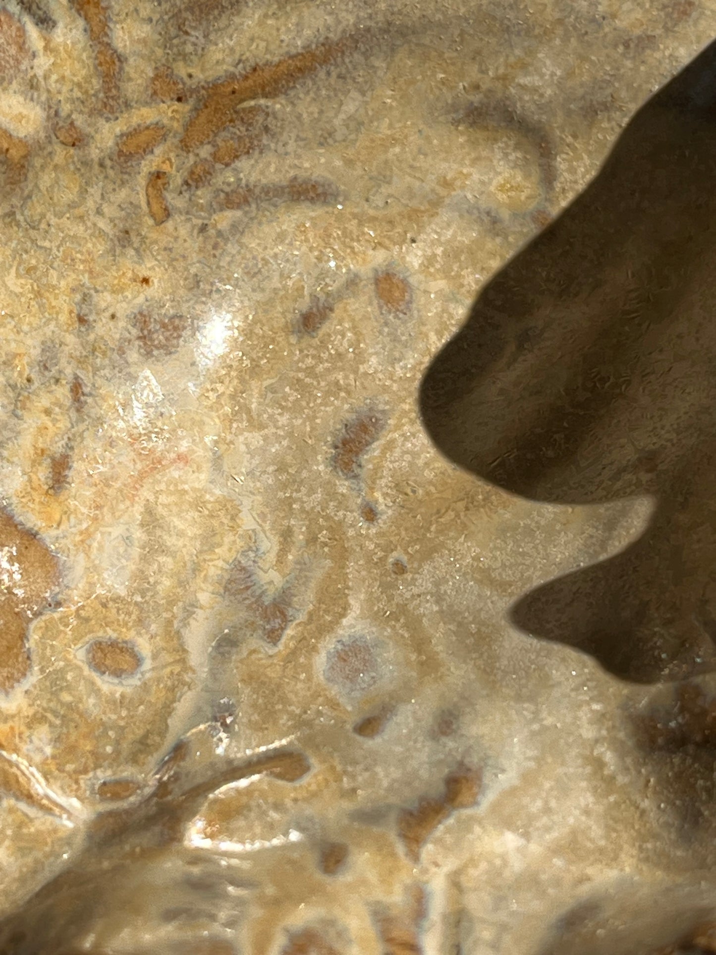 Image at position 2