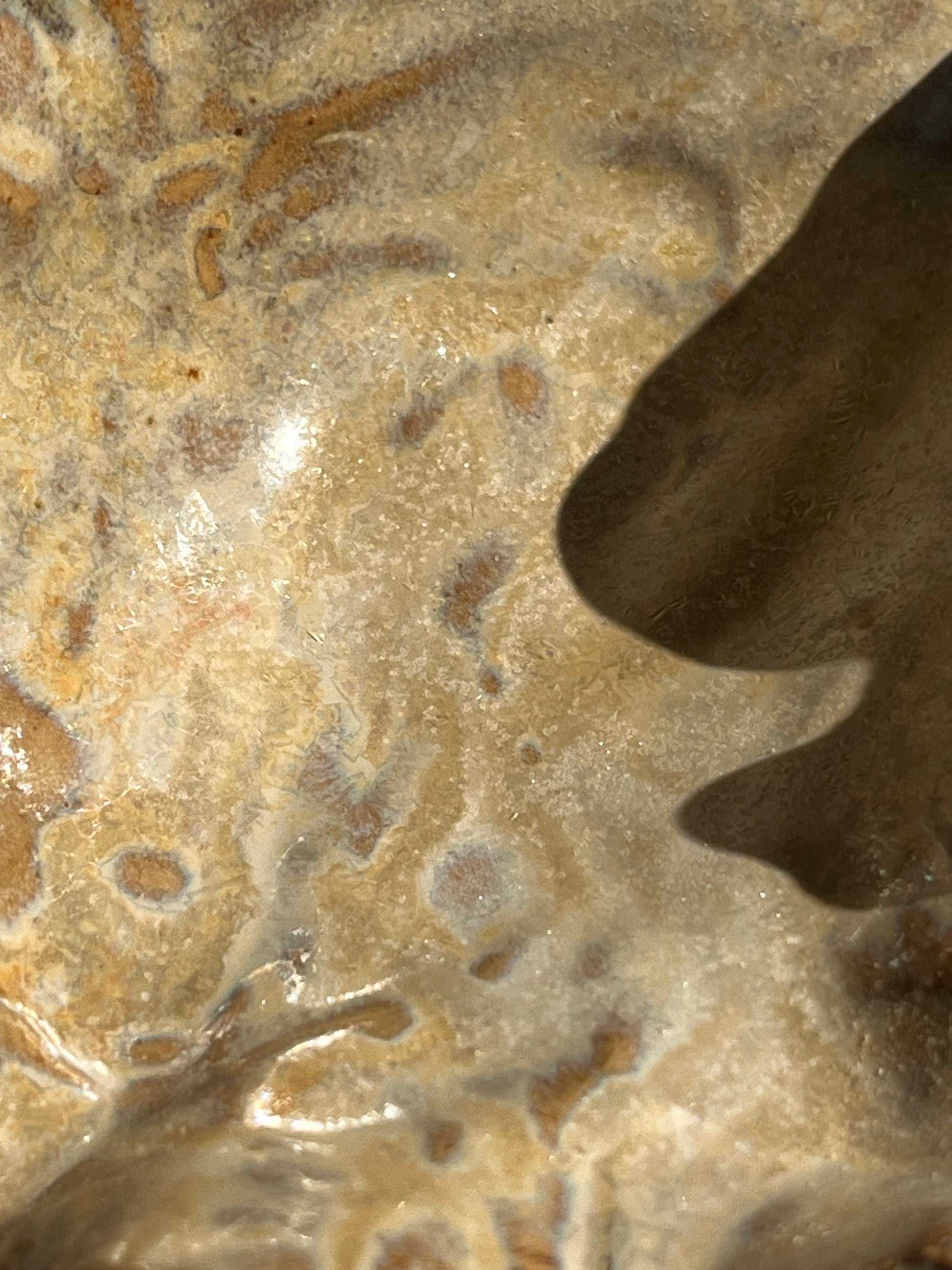 Image at position 2