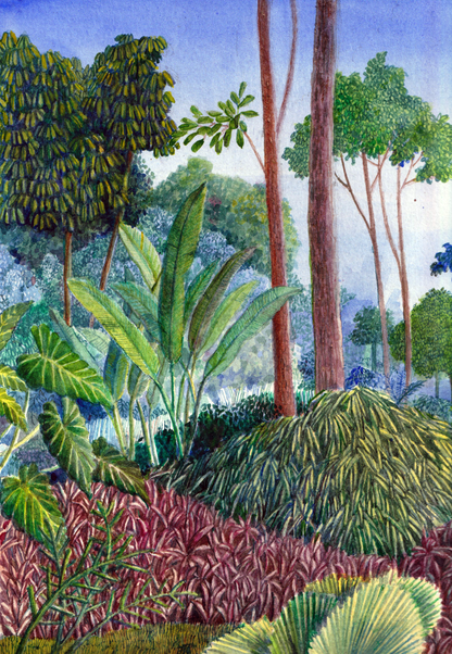 Image at position 1