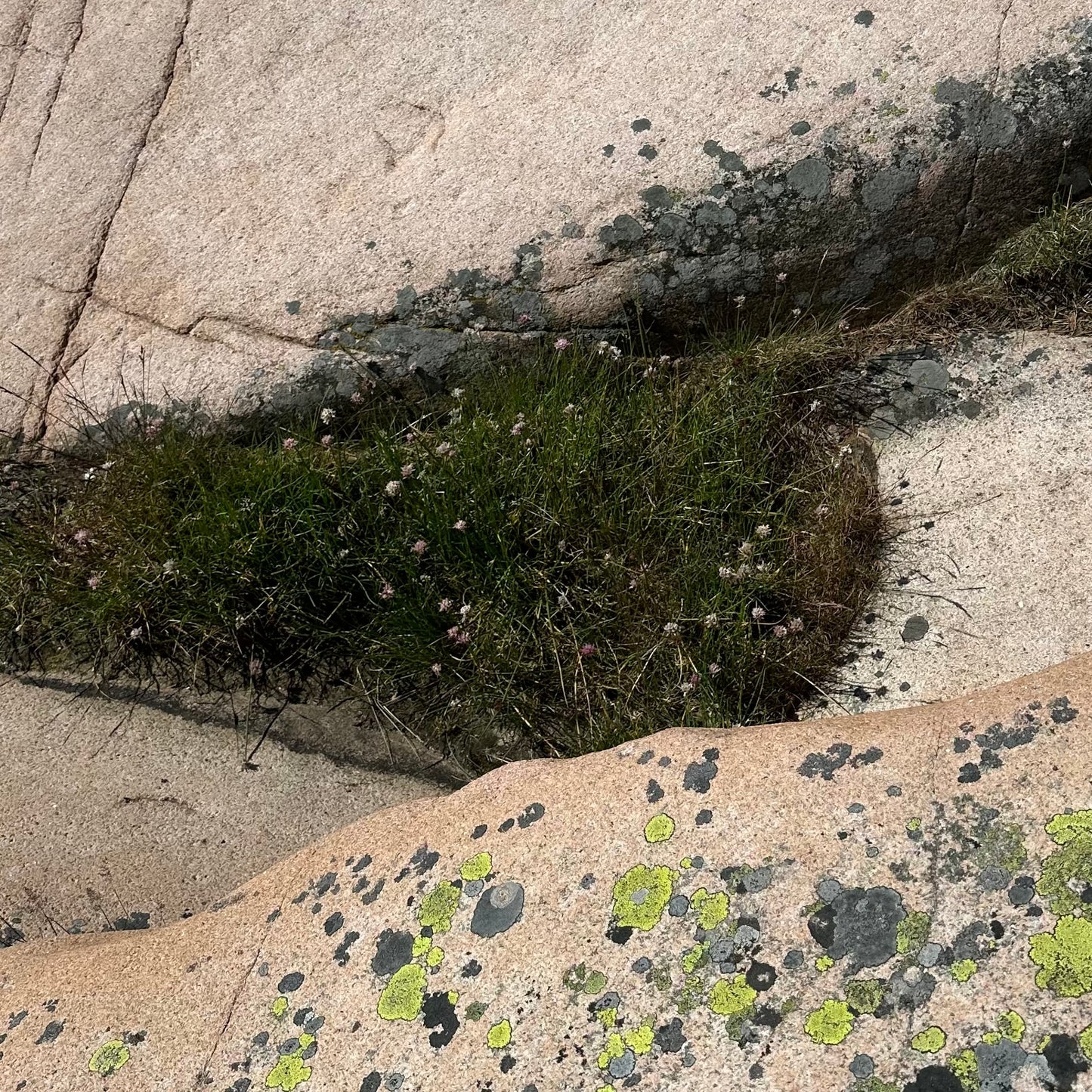 Image at position 2