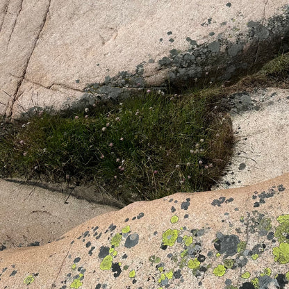 Image at position 2