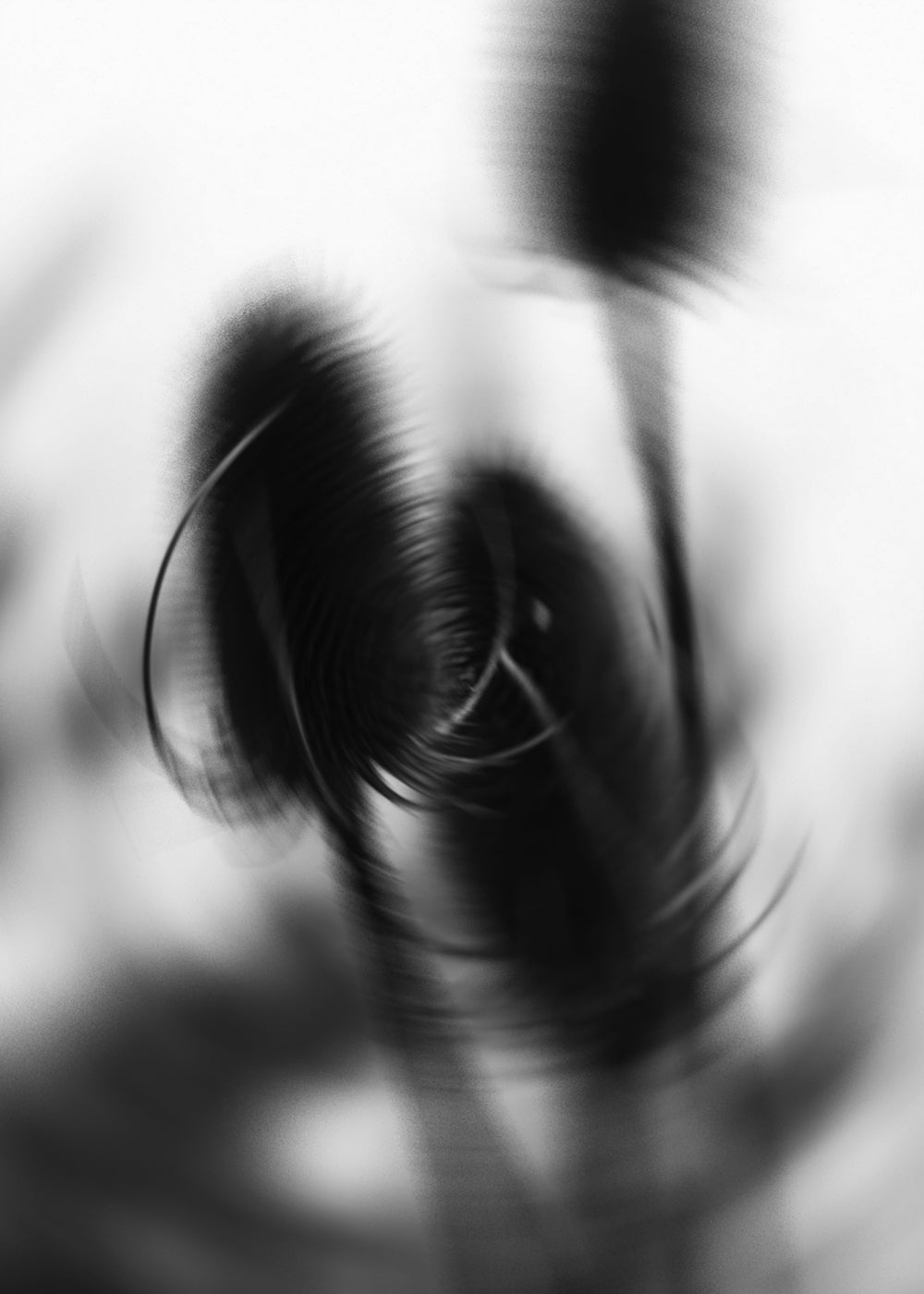 Image at position 2