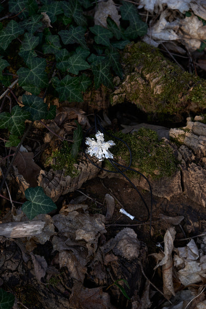 Image at position 4
