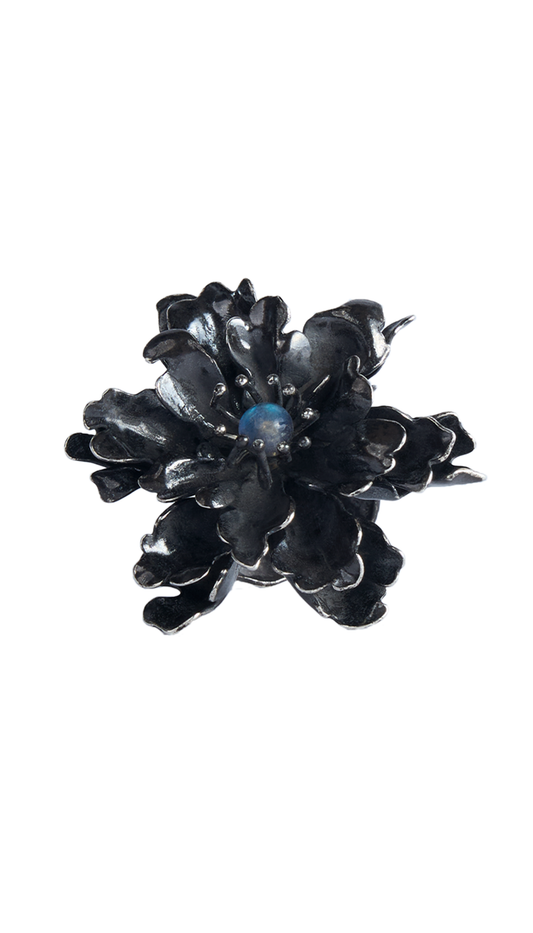 Image at position 1