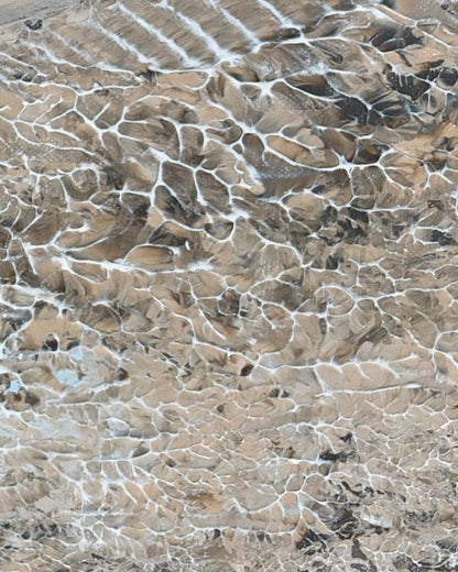 Image at position 5