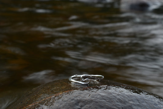 Image at position 1